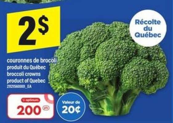COURONNES DE BROCOLI
