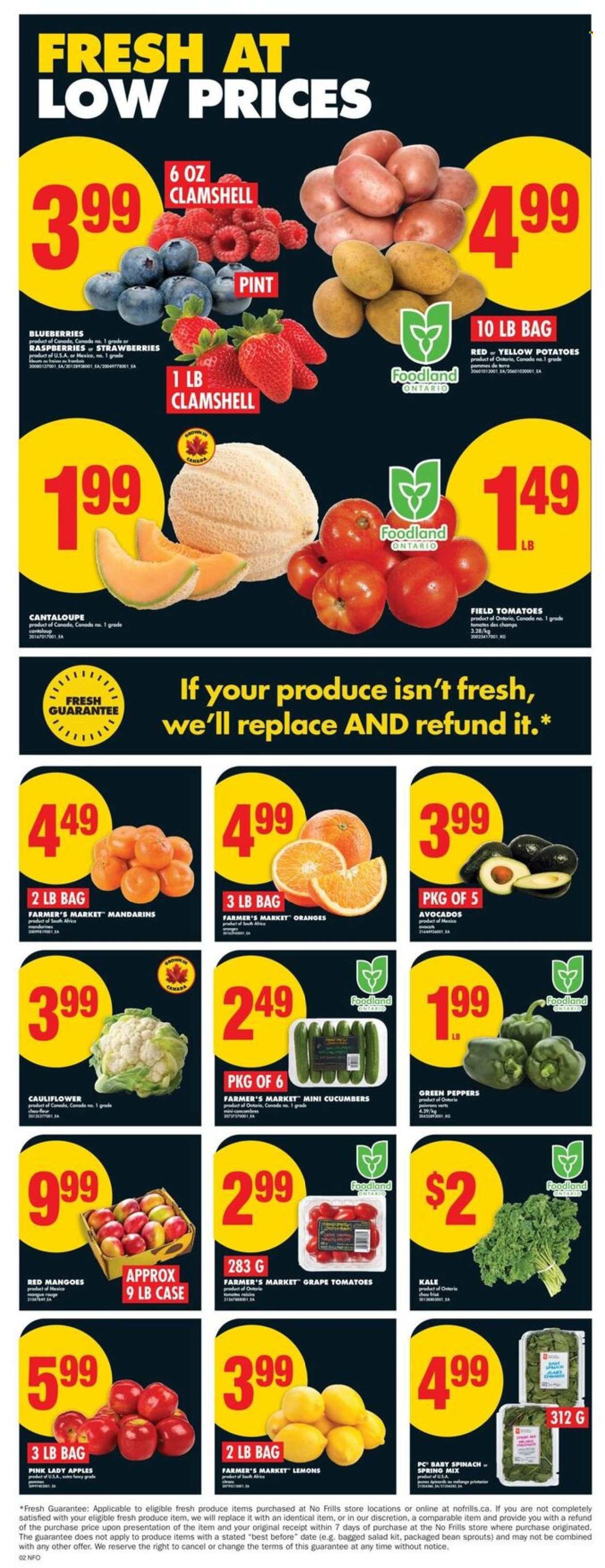No Frills flyer - August 14, 2025 - August 20, 2025. Page 4