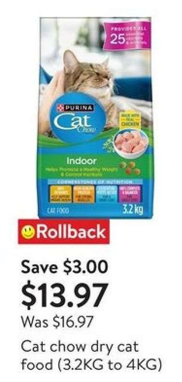 Cat Chow Dry Cat Food