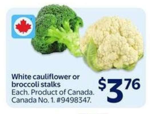 White Cauliflower or Broccoli Stalks