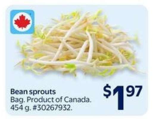 Bean Sprouts