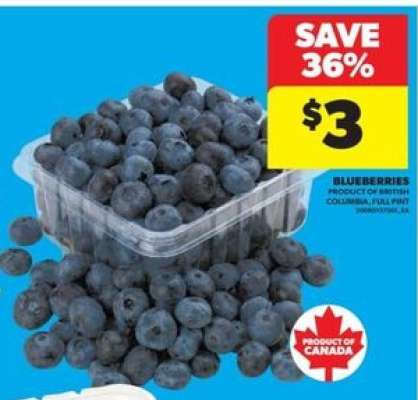 Blueberries