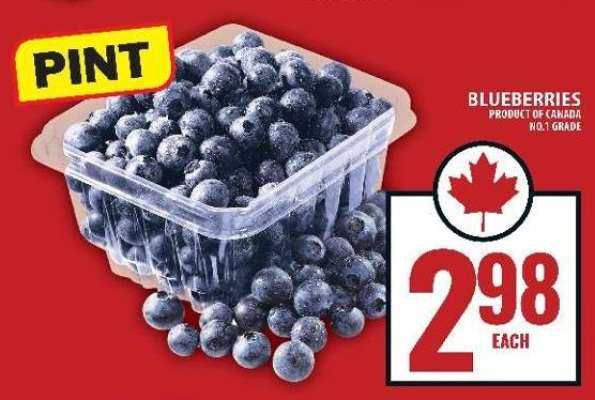 Blueberries