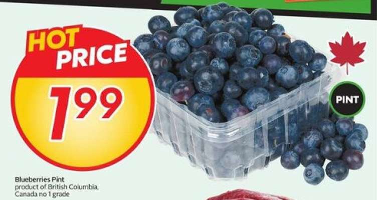 BLUEBERRIES, PINT