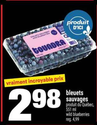 bleuets sauvages