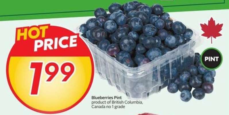 BLUEBERRIES, PINT