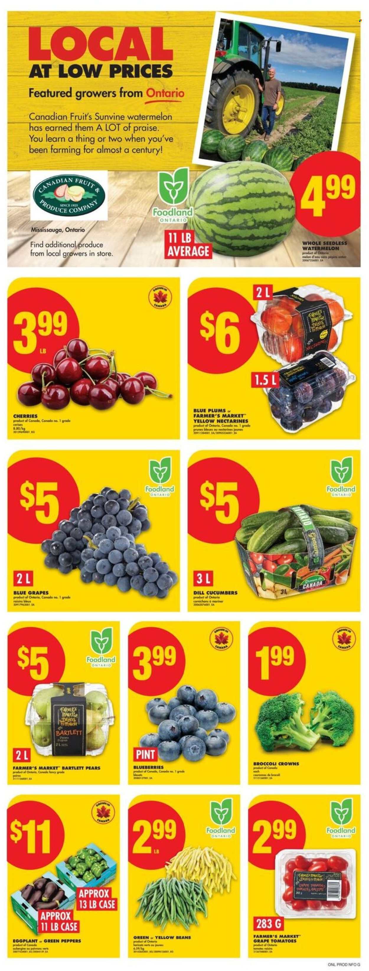 No Frills flyer - August 21, 2025 - August 27, 2025. Page 3