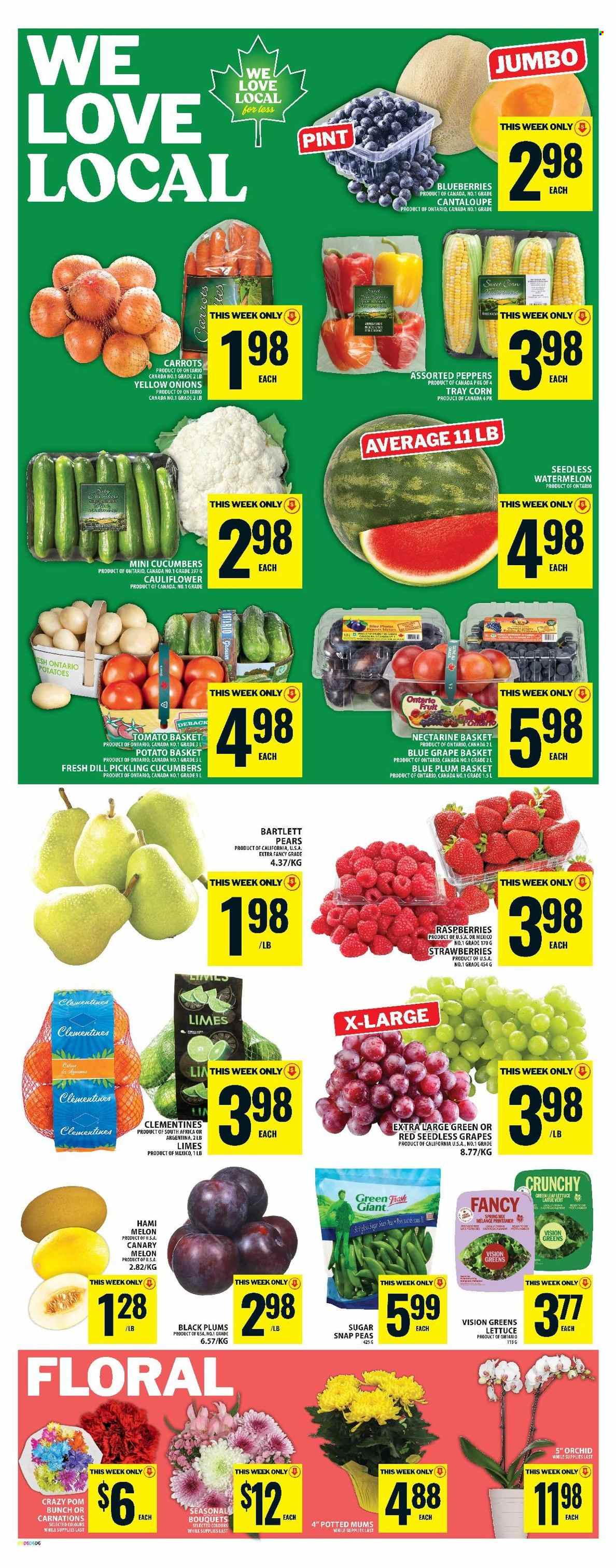 Food Basics flyer - August 21, 2025 - August 27, 2025. Page 4