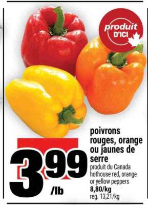 POIVRONS ROUGES, ORANGE OU JAUNES DE SERRE