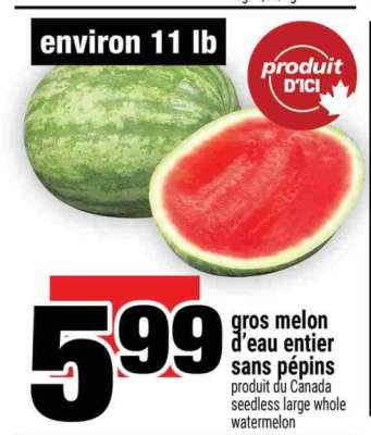 Gros melon d'eau entier sans pépins