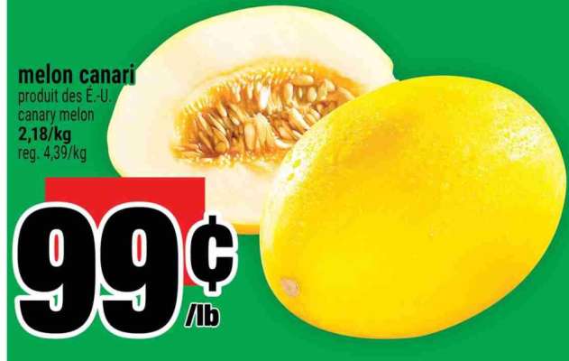MELON CANARI