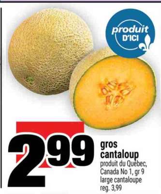 Gros Cantaloup