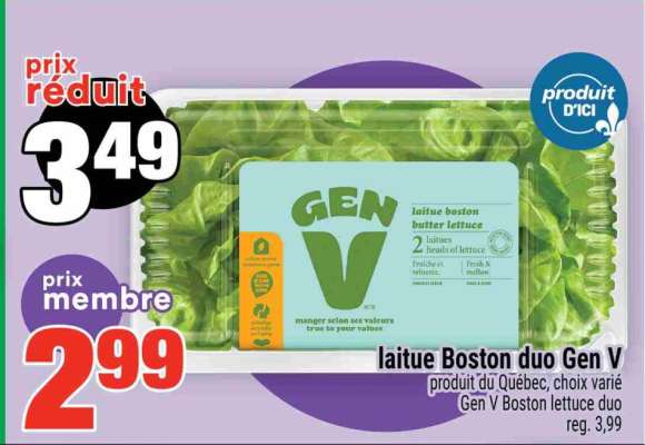 LAITUE BOSTON DUO GEN V