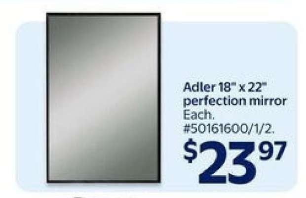 Adler 18" x 22" perfection mirror