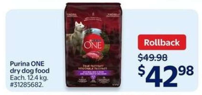 Purina ONE Dry Dog Food