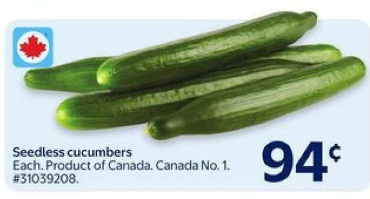 SEEDLESS CUCUMBERS
