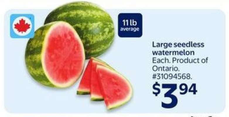 Large Seedless Watermelon