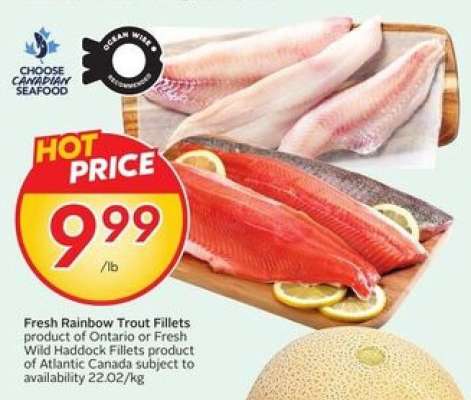 Fresh Rainbow Trout Fillets or Fresh Wild Haddock Fillets