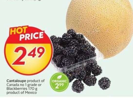 Cantaloupe or Blackberries