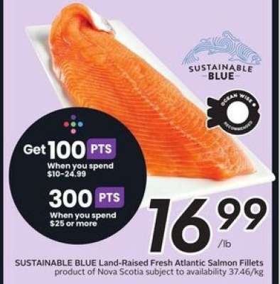 SUSTAINABLE BLUE Land Raised Fresh Atlantic Salmon Fillets