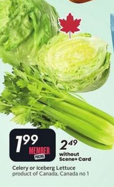 Celery or Iceberg Lettuce