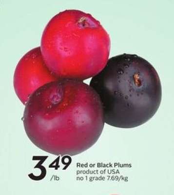 Red or Black Plums