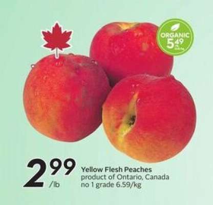 Yellow Flesh Peaches