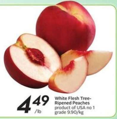 White Flesh Tree-Ripened Peaches