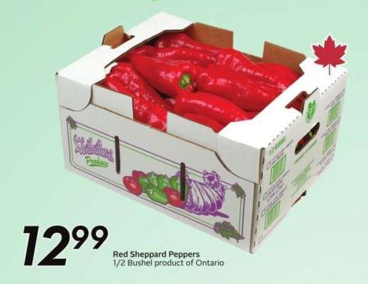 Red Sheppard Peppers