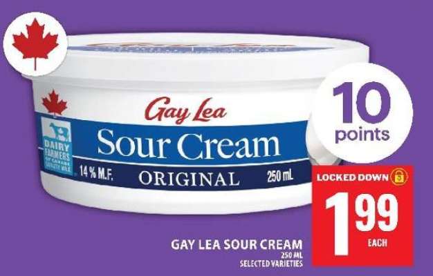 GAY LEA SOUR CREAM