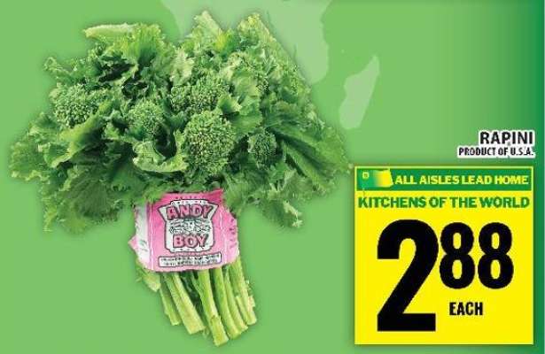 RAPINI