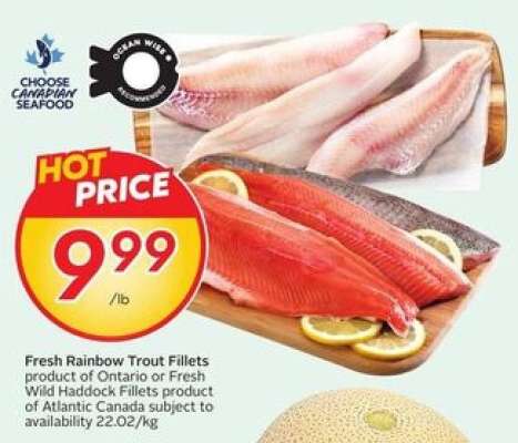 FRESH RAINBOW TROUT FILLETS