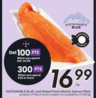 SUSTAINABLE BLUE Land Raised Fresh Atlantic Salmon Fillets