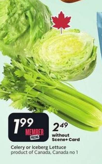 Celery or Iceberg Lettuce