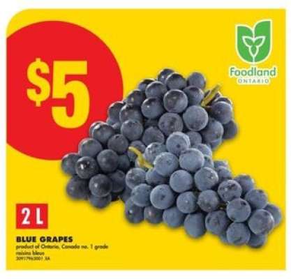 BLUE GRAPES