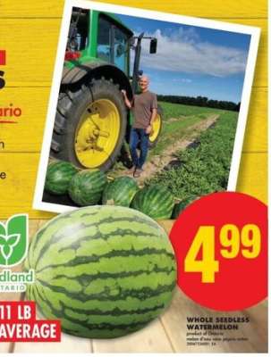 WHOLE SEEDLESS WATERMELON