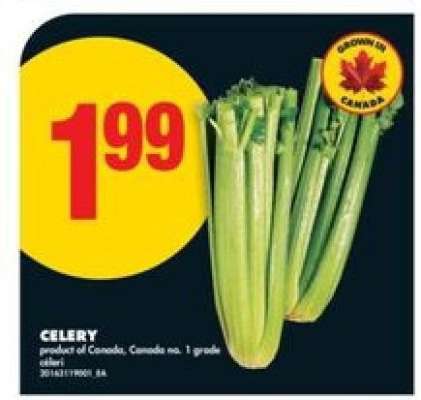 CELERY