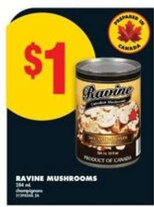 Ravine Mushrooms