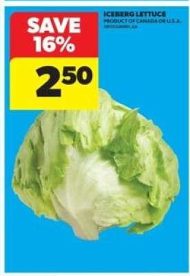 Iceberg Lettuce