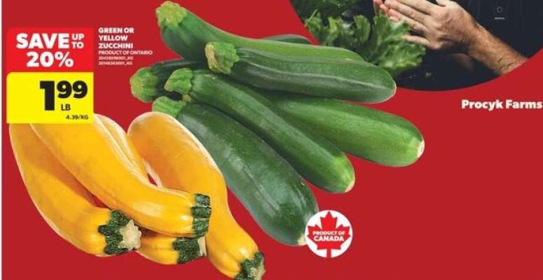 GREEN or YELLOW ZUCCHINI