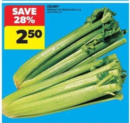 CELERY