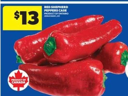 Red Shepherd Peppers Case