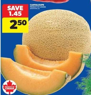CANTALOUPE