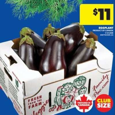 EGGPLANT
