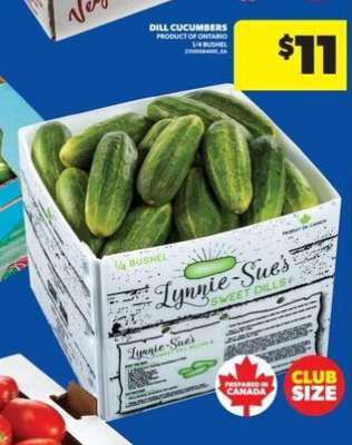 DILL CUCUMBERS
