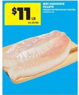 MSC Haddock Fillets