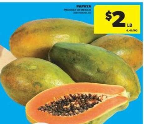 PAPAYA