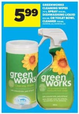 Greenworks Cleaning Products