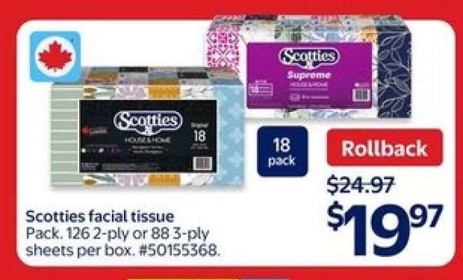 Scotties Facial Tissue