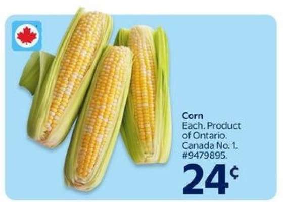 Corn